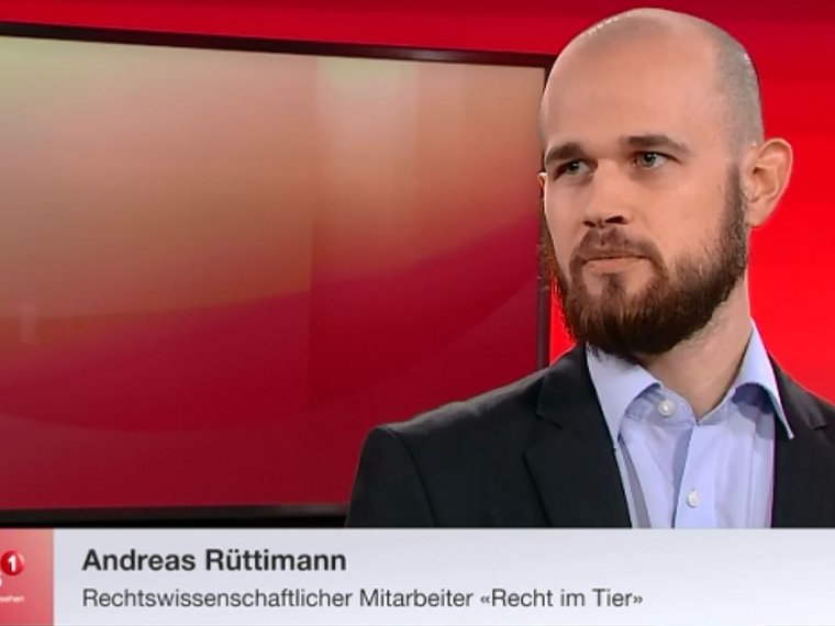 Andreas Rüttimann Tele 1 24.11.2016