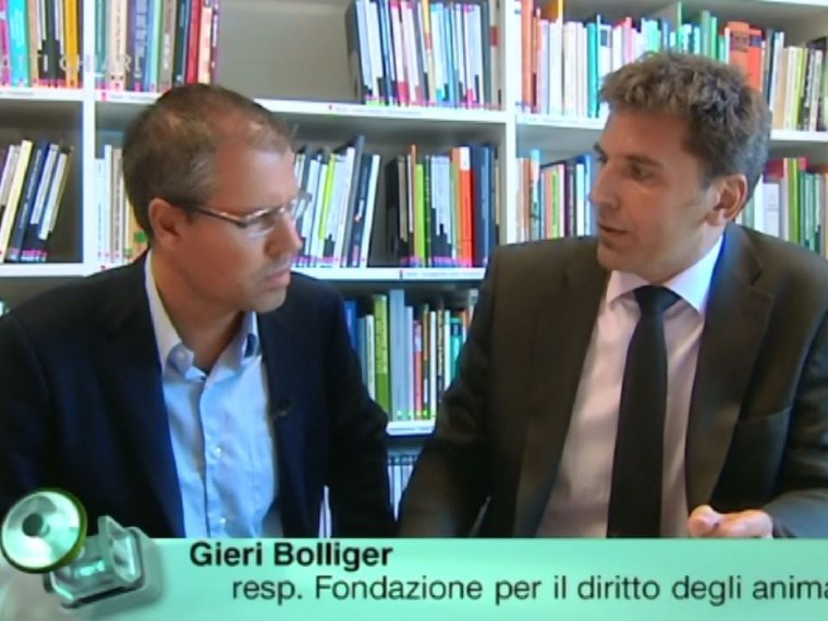 Gieri Bolliger Patti Chiari 20.11.2016