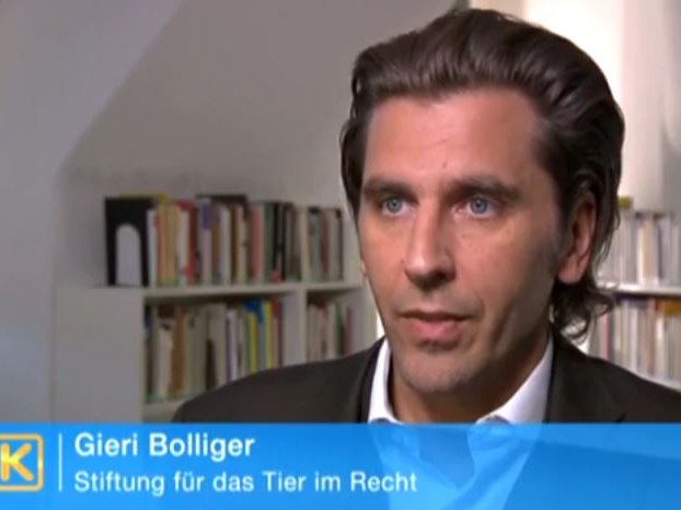 Gieri Bolliger Kassensturz 10.4.2012