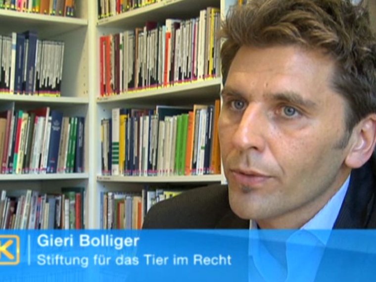 Gieri Bolliger Kassensturz 2.6.2009