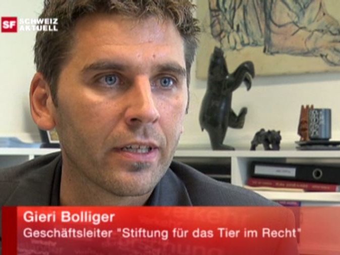 SRF Schweiz aktuell vom 24.9.2009: Unterschiedlicher Umgang mit Tierquälerei