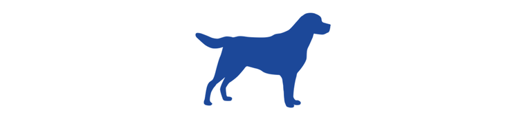 Icon Hund Goldie Hunderecht
