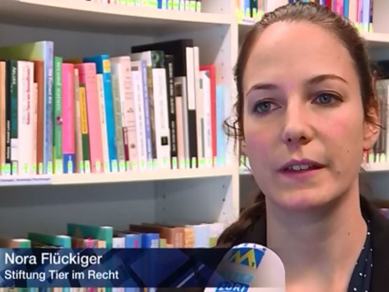 Nora Flückiger Tele M1 24.11.2016