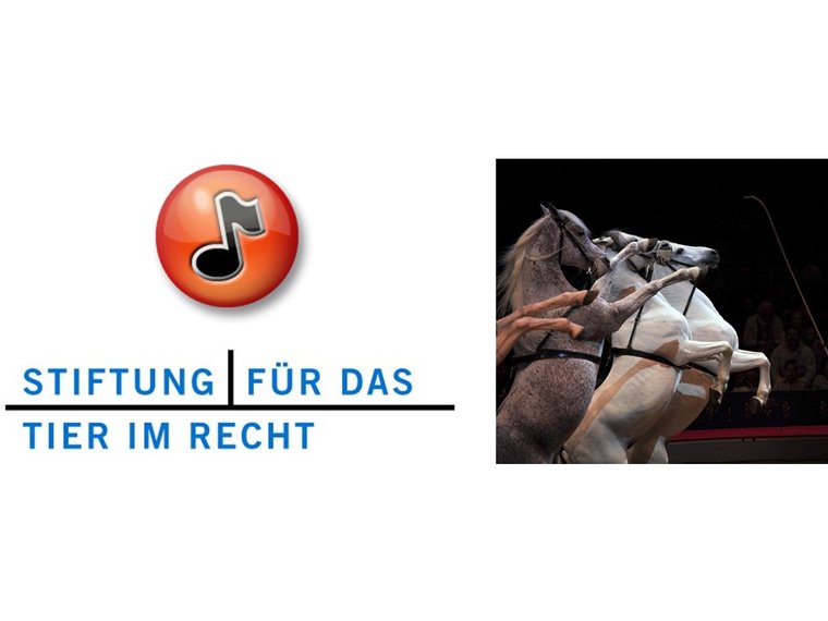Radiosendung Treffpunkt vom 18.4.2016 mit Vanessa Gerritsen zum Thema "Stress für die Show..."