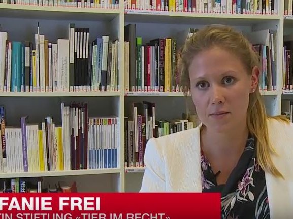 Stefanie Frei Blick online 16.9.2016