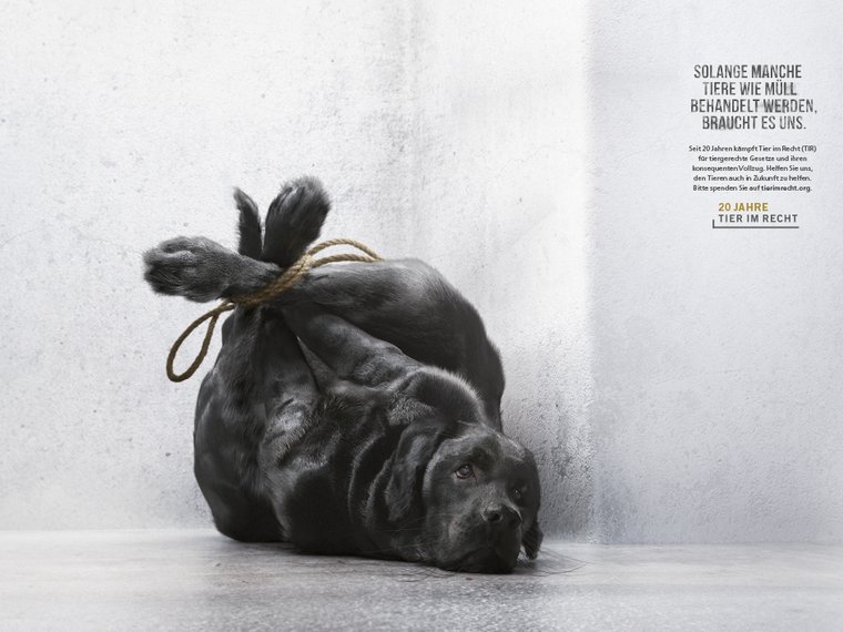 Kampagne Tiere wie Müll Hund RufLanz