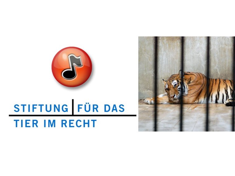 Radiosendung Doppelpunkt vom 20.3.2012 mit Gieri Bolliger zum Thema "Wildtiere im Zoo und Zirkus"