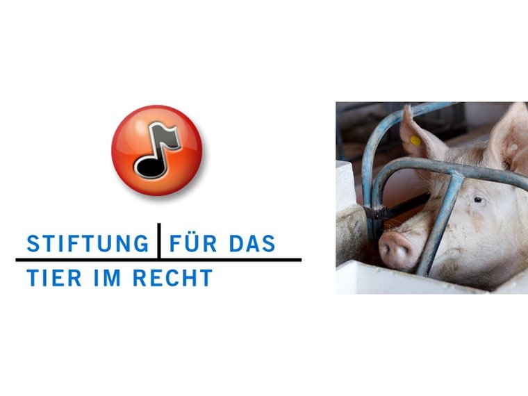 Treffpunkt Radio DRS 1 vom 6.12.2012 mit Gieri Bolliger zum Thema Tierquälerei