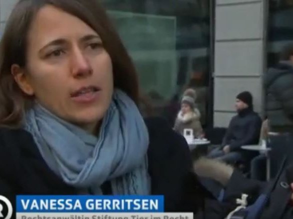 SRF Rundschau vom 8.1.2014: Pelz Deklaration am Pranger