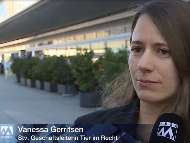 YT_Vanessa Gerritsen, TeleM1 5.3.17.JPG